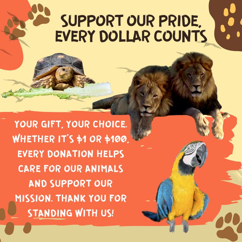 Support Our Pride, Every Dollar Counts