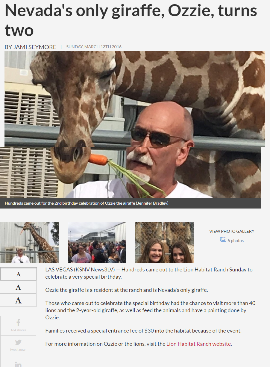 Nevada's only giraffe, Ozzie, turns two - KSNV.clipular
