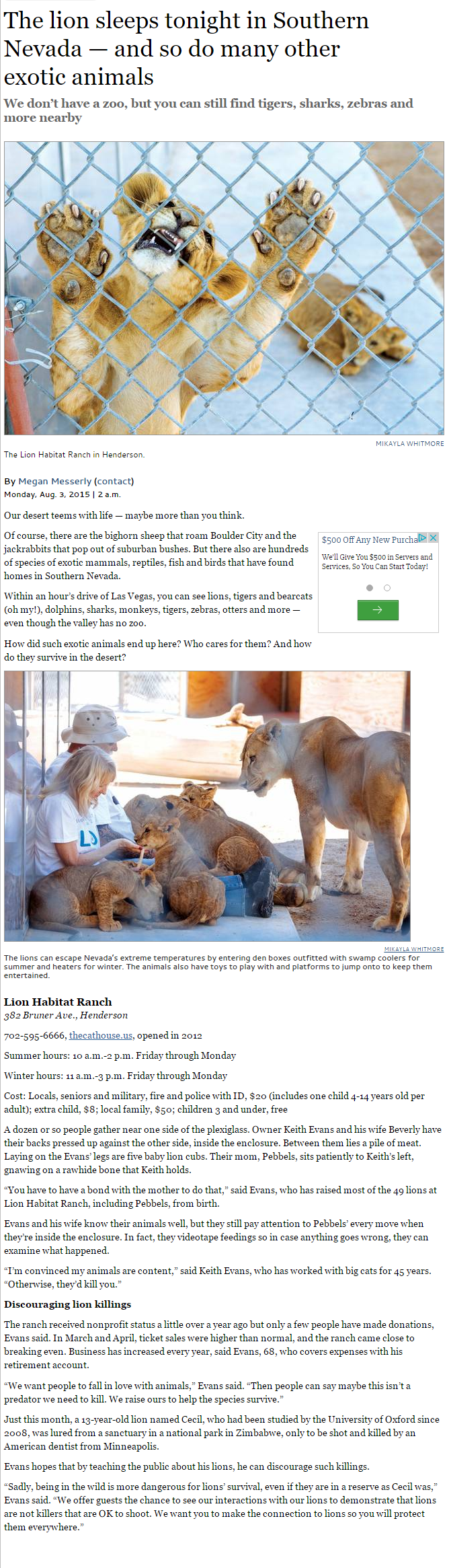 The lion sleeps tonight in Southern Nevada — and so do many other exotic animals - Las Vegas Sun News.clipular (1)