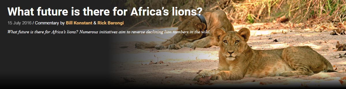 What future is there for Africa’s lions-.clipular (1)